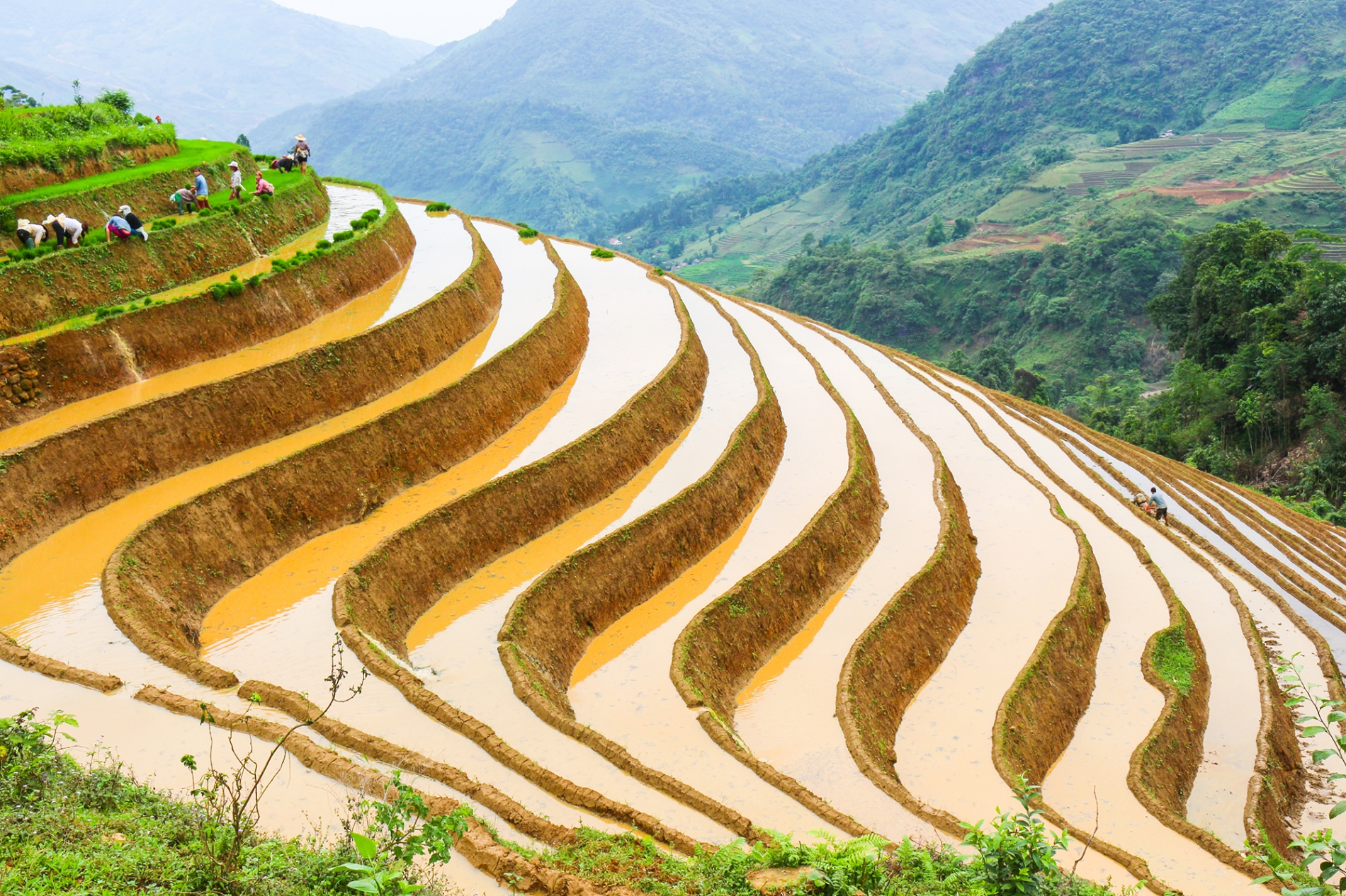 Sapa - Núi Hàm Rồng - Cát Cát - Thác Bạc {4N, tàu hỏa}