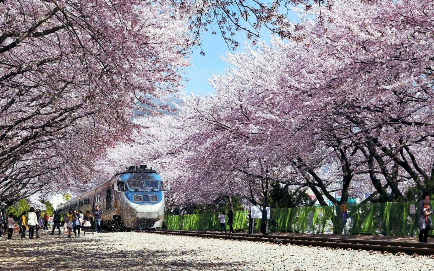 SEOUL – ĐẢO NAMI CÔNG VIÊN EVERLAND (5N4Đ KHỞI HÀNH 25/4 bay JINAIR)