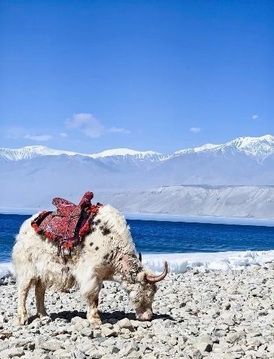 9N8D NAM TÂN CƯƠNG